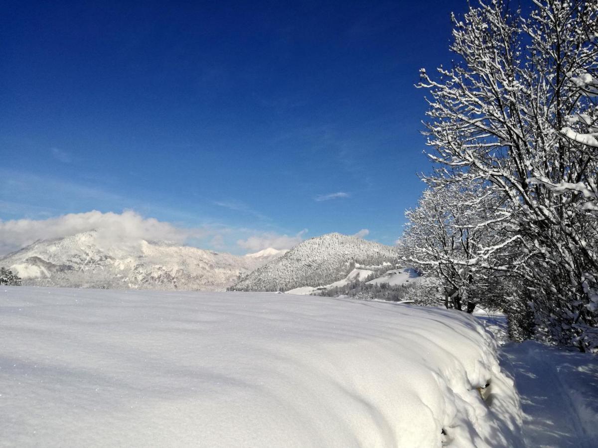 Tramberger Apartments Reith im Alpbachtal Eksteriør bilde